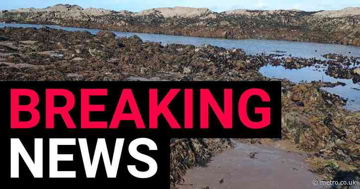 Beachgoer finds ‘World War II torpedo’ near world-famous exclusive golf club