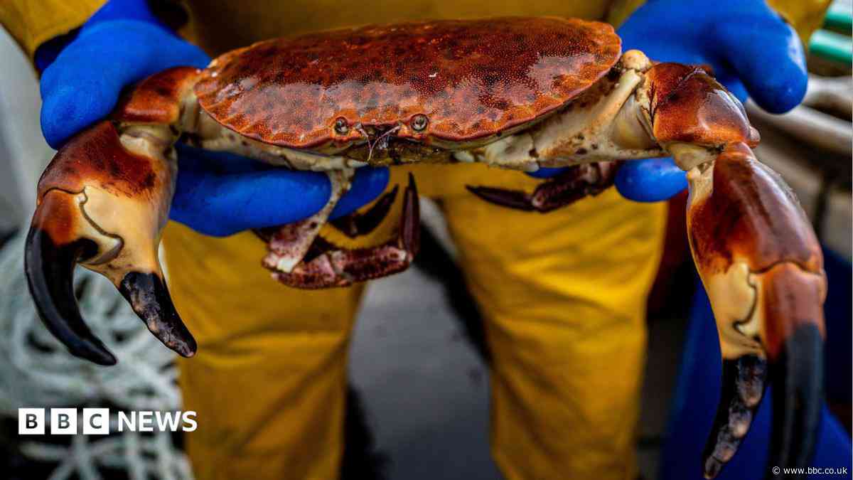 Sea harvest service celebrates fishing industry