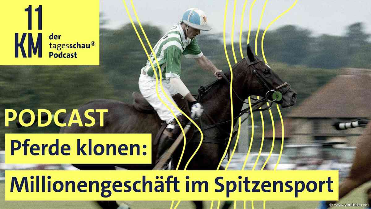 Pferde klonen: Millionengeschäft im Spitzensport  I 11KM - der tagesschau-Podcast