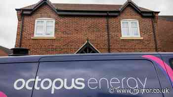 Octopus Energy's '6.30pm rule' keeps your home warm while reducing bills