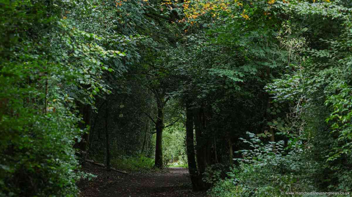The Greater Manchester autumn walk with woodland trails, views and spooky ruins