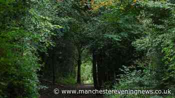 The Greater Manchester autumn walk with woodland trails, views and spooky ruins