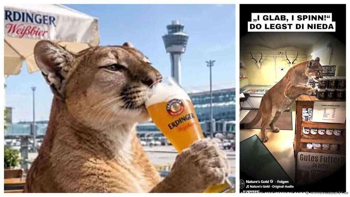 Puma-Hype in Erding: Wurst, Brezn, Bier, Eishockey – Raubkatzen-Memes auf Social Media