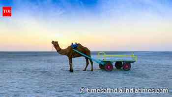 This white desert in India turns silver under the moon
