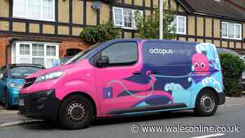 Octopus Energy expert's '6.30pm warm house rule' helps lower heating bills