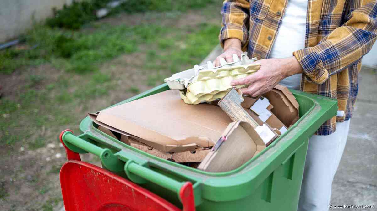 Binman urges people 'never throw item in food waste' and 'check with council'