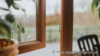 Everyone urged to put a sheet of paper in window before next Tuesday