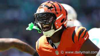 Bengals star humiliates Dolphins QB Malik Willis with two interceptions after publicly revealing his plan to stop him