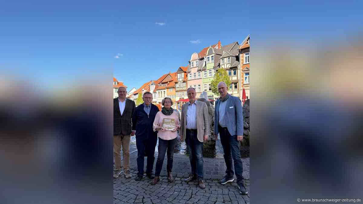 Von den Lübbensteinen bis 1914: Helmstedts Geschichte auf 228 Seiten