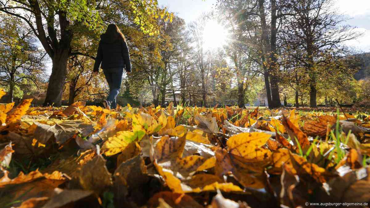 Von Naturparadies bis Kunstprojekt: Diese Ausflüge im Augsburger Herbst begeistern Familien