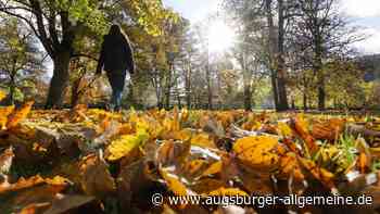 Von Naturparadies bis Kunstprojekt: Diese Ausflüge im Augsburger Herbst begeistern Familien