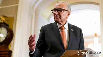 Schumer: Judge halting Trump ads ‘only the beginning’