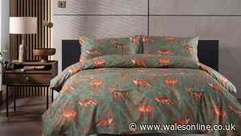 Cosy autumn bedding that 'doesn't need ironing' in rare double discount with code