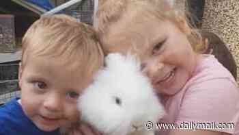 Mother of two young children killed by drink and drug driver condemns 'disgraceful' justice system as he walks free half way through 'pathetic' nine-year sentence