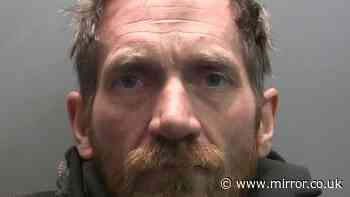 Second Sycamore Gap yob freed after serving less than half his sentence
