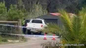 Toddler dies after she was struck by a car at a home in Smythesdale, Victoria