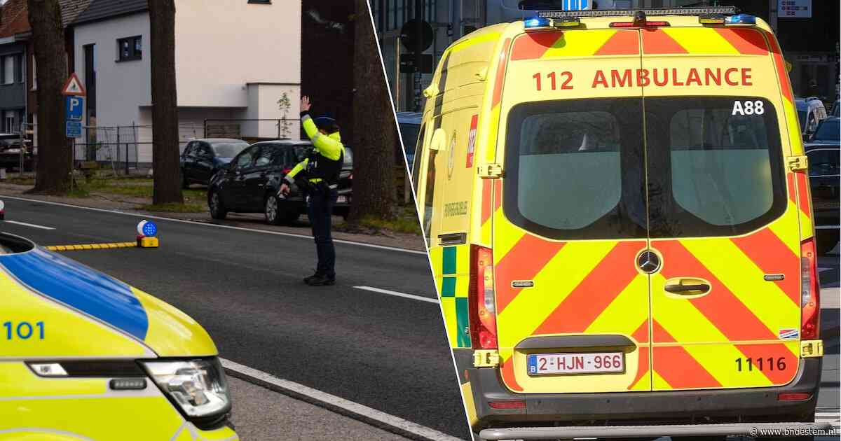 Voetganger (75) overleden na aanrijding in Kalmthout: bestuurster rijdt door, maar wordt later opgepakt