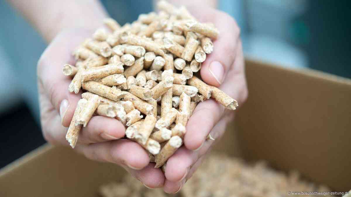 Pelletspreise heute: Was Pellets aktuell (Montag, 12. Oktober) kosten