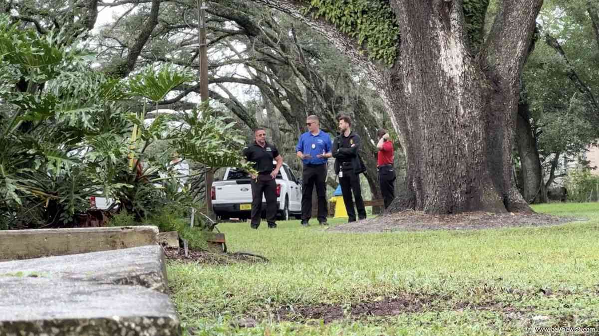 Tampa Bay dengue outbreak prompts expanded mosquito spraying after heavy rains