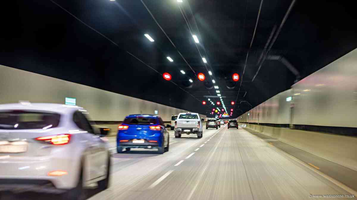Ford, BMW and VW drivers could be owed compensation - how to check