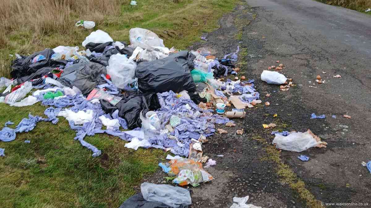 Mound of rags, bin bags and food waste dumped on Welsh hill