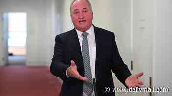 Barnaby Joyce unveils shock move to join forces with the Greens over US livestream execution ban: 'Roman amphitheatre stuff'