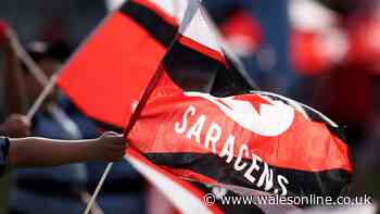 Saracens player stood down with immediate after as investigation launched