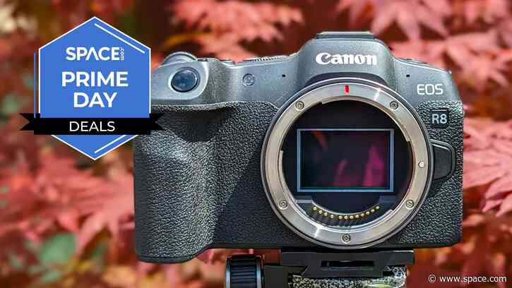 The Canon EOS R8 is great for mirrorless camera newbies and is now $428 off in this deal from Best Buy