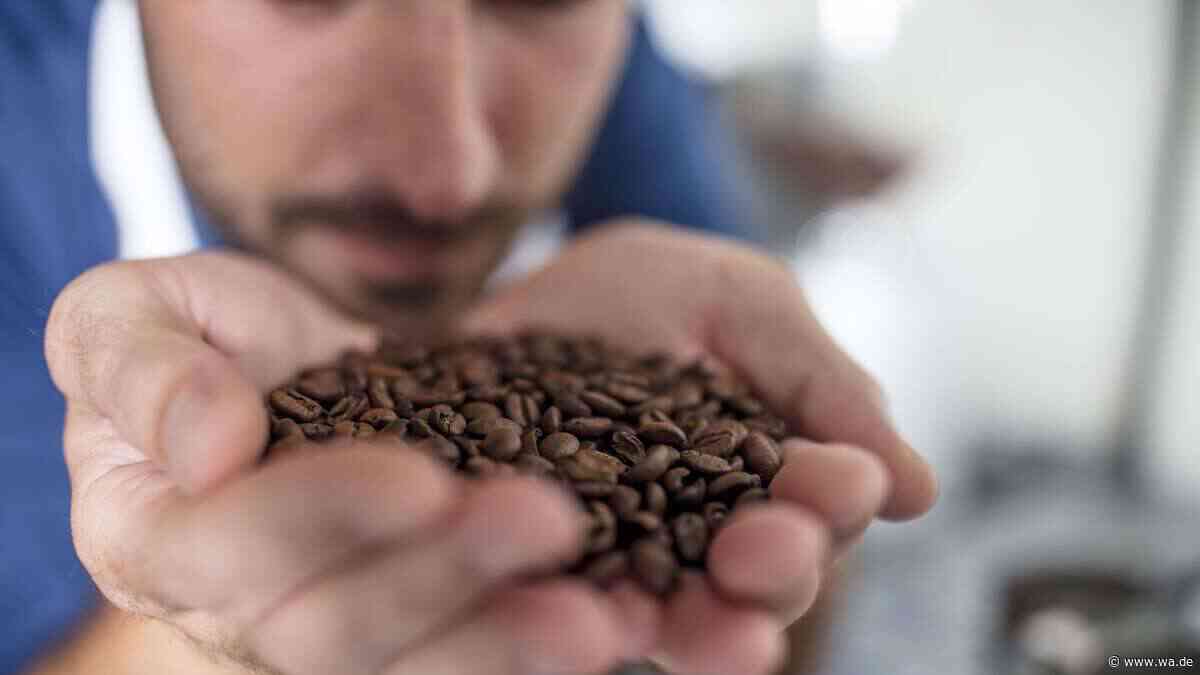 Chronische Müdigkeit durch Schimmelgifte? Was Forschende über Mykotoxine in Lebensmitteln wissen