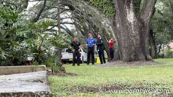 Tampa Bay dengue outbreak prompts expanded mosquito spraying after heavy rains
