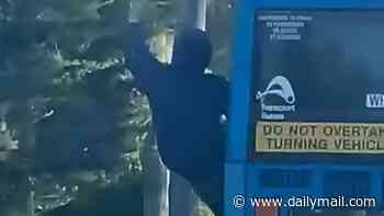 Shocking moment a daredevil teen risks his life by dangling out of a moving bus along one of Sydney's busiest roads