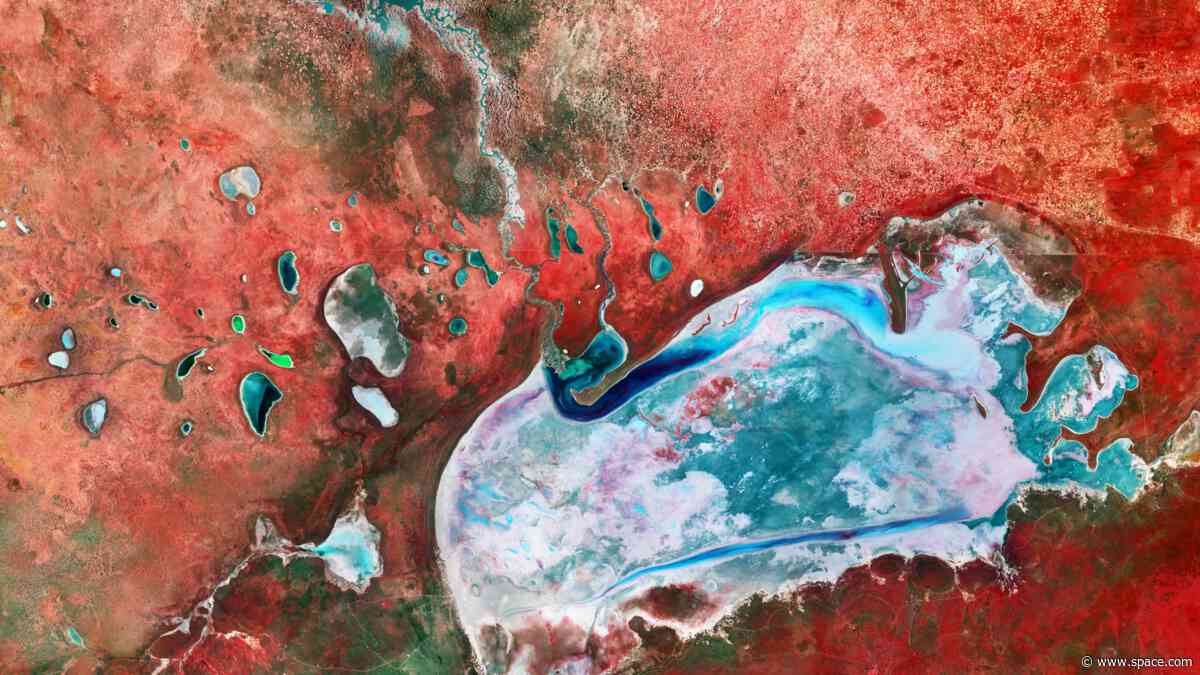 Namibian salt flats look like an alien planet | Space photo of the day for Oct. 12, 2026