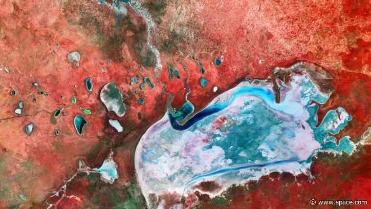 Namibian salt flats look like an alien planet | Space photo of the day for Oct. 12, 2026