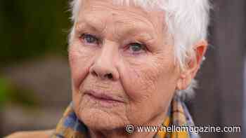 Dame Judi Dench, 91, makes sobering confession about how she wants to die