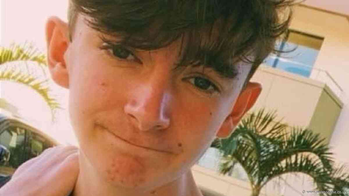 Killer put pizza in the oven and did online gaming after stabbing Swansea housemate 30 times, jury told