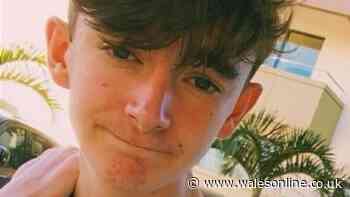 Killer put pizza in the oven and did online gaming after stabbing Swansea housemate 30 times, jury told