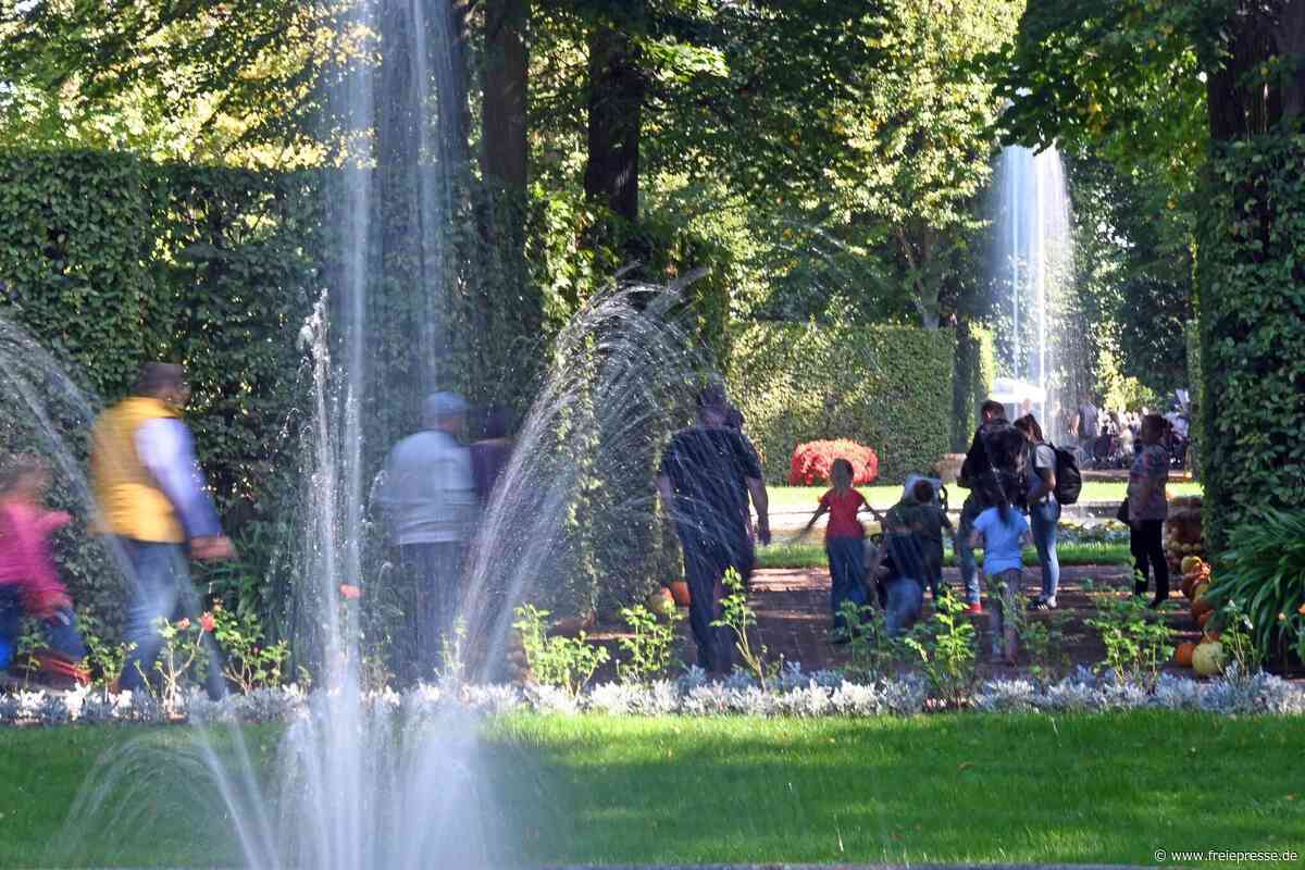 Was Mittelsachsen in dieser Woche erwartet
