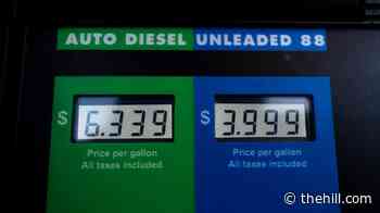 Oil analyst 'skeptical' that Trump's diesel deal with Russia will lower prices