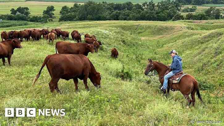 Some ranchers question Trump’s policies as industry faces rising costs