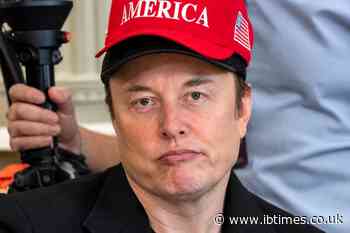 Elon Musk Trolled and Mocked Online After He 'Doxxes Himself' by Posting Grok Lego Order Receipt