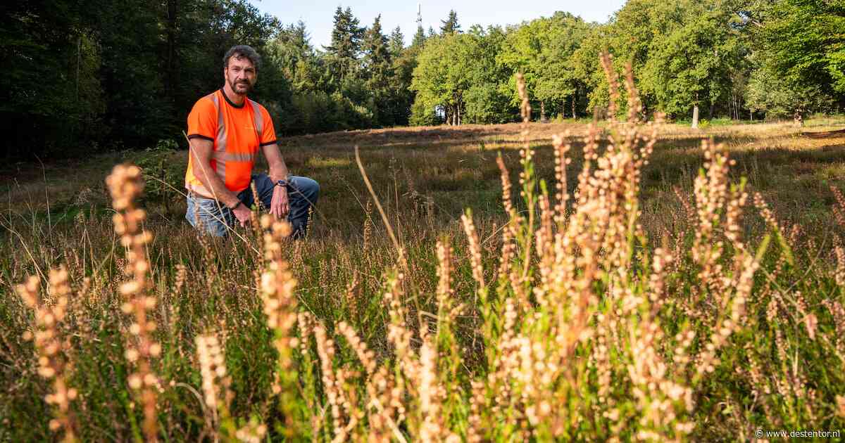 Gemeente Rijssen-Holten krijgt het na 12 jaar voor elkaar: eerste en tweede heide zijn nu verbonden