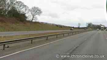 Tributes to Newcastle woman who died in A1(M) crash as man charged with murder