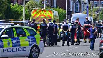 Government response to tackling extreme violence after Southport attack not taken forward due to cost