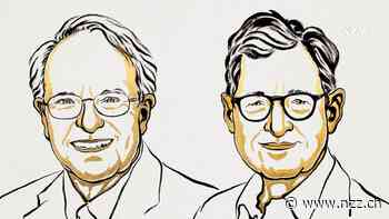 Die zwei amerikanischen Professoren Robert E. Hall und Michael Woodford erhalten den Wirtschaftsnobelpreis