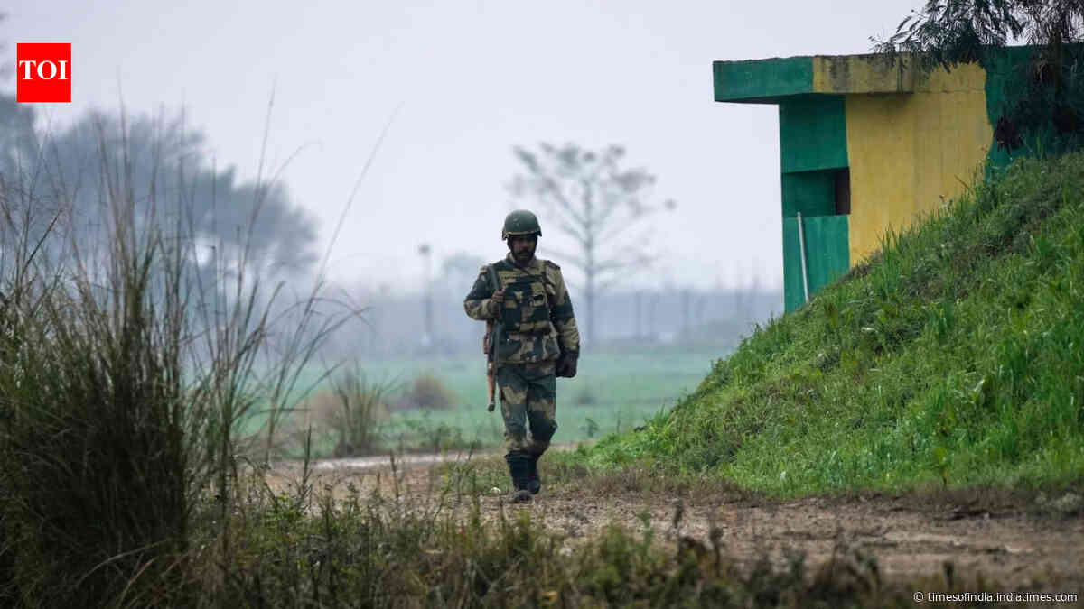 Failed infiltration bid: LeT commander among 4 Pak terrorists killed in mine blast in J&amp;K's Poonch