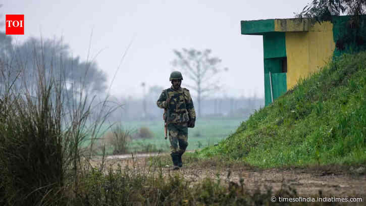 Failed infiltration bid: LeT commander among 4 Pak terrorists killed in mine blast in J&amp;K's Poonch