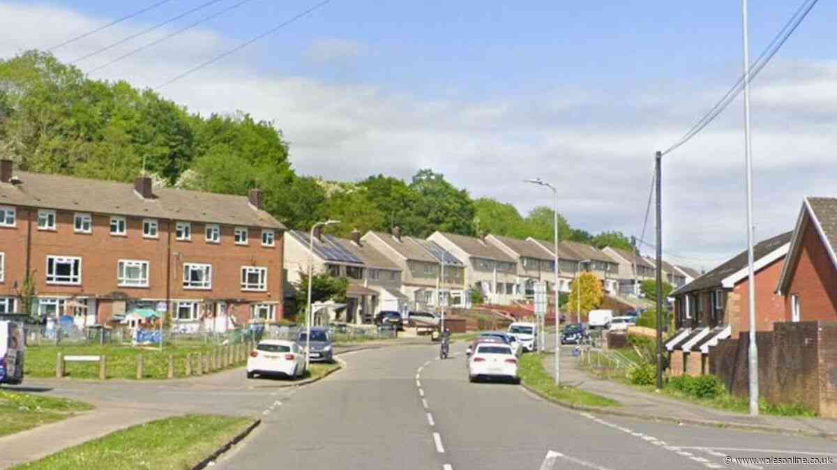Dog put down after attacking woman on street in Newport