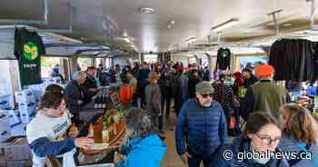 Thousands attend a Quebec festival centred on a little-known tropical-tasting fruit