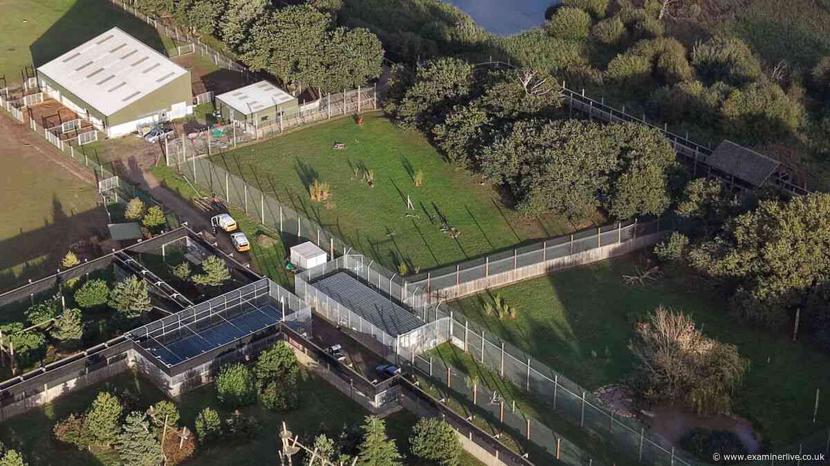 Yorkshire Wildlife Park faces safety probe after tiger mauls man to death