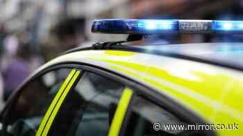 Woman arrested as baby girl dies after report of concern at Cambourne home